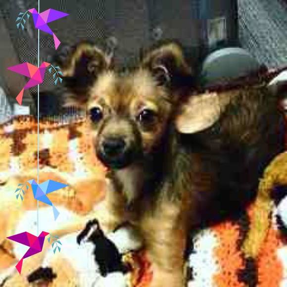 Meet your Posher, Shawn - Picture 1 of 1